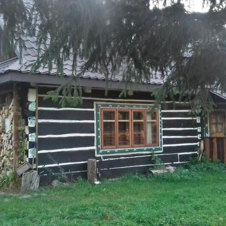 Molfar, Beskid Niski , Polowa Domu Apartment Polany  Bagian luar foto