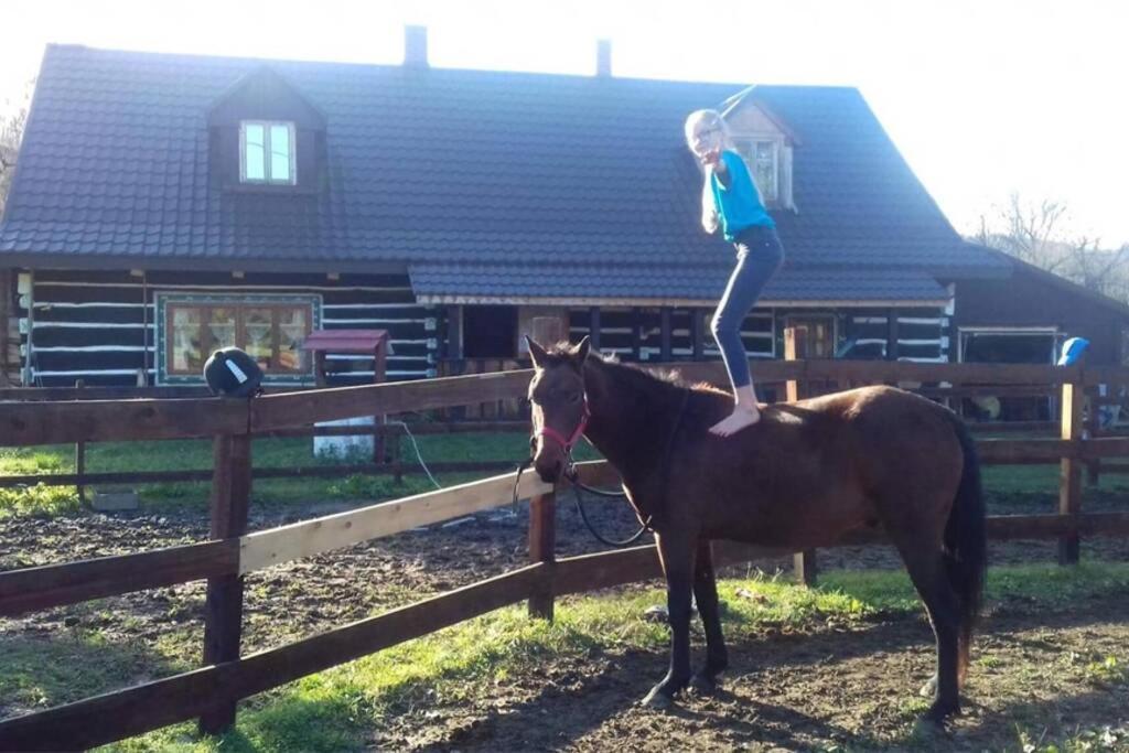 Molfar, Beskid Niski , Polowa Domu Apartment Polany  Bagian luar foto